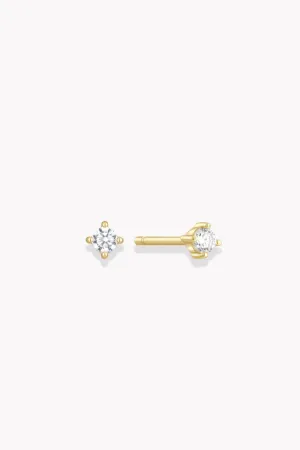 Dainty Shimmer Stud - Gold