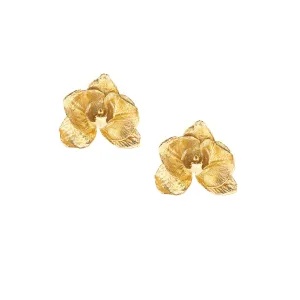 Gold Orchid Stud Earrings